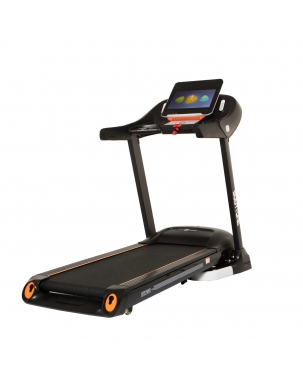 Dt22W Treadmill