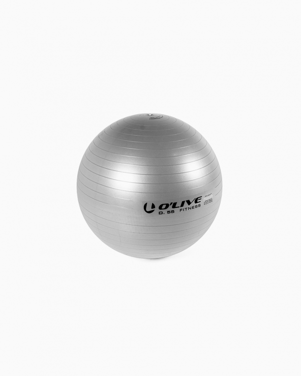 Fitness Ball Ø 55cm Gray -...