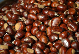 Castanhas : o que esconde o alimento mais nutritivo do Outono?